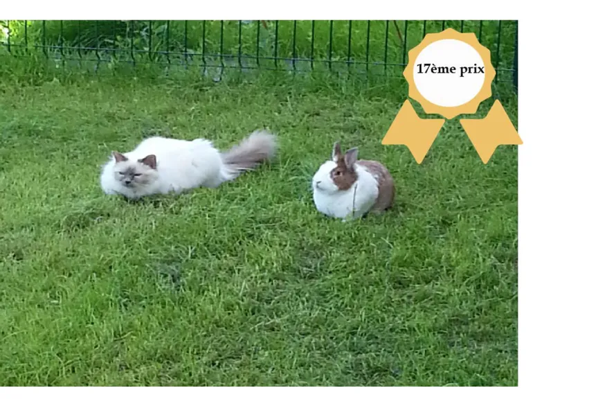 Concours photos