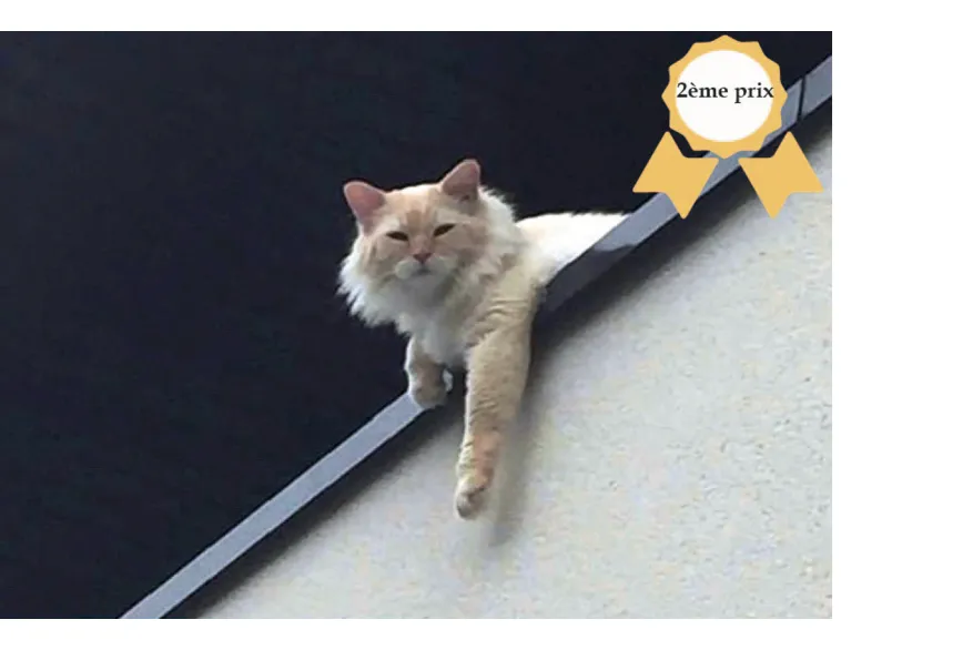 Concours photos