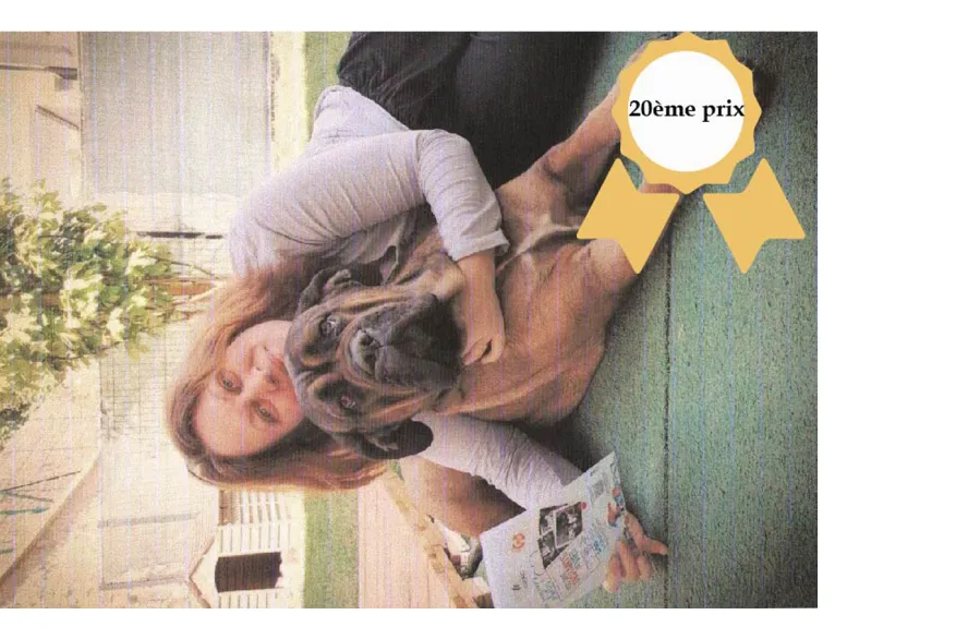 Concours photos