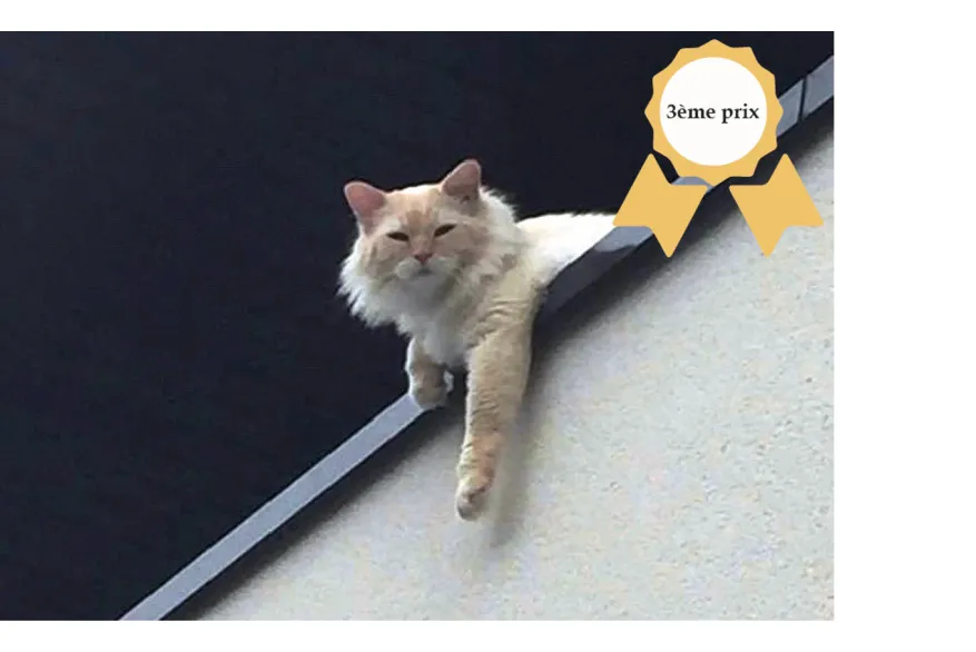 Concours photos