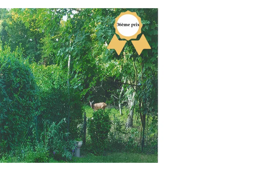 Concours photos