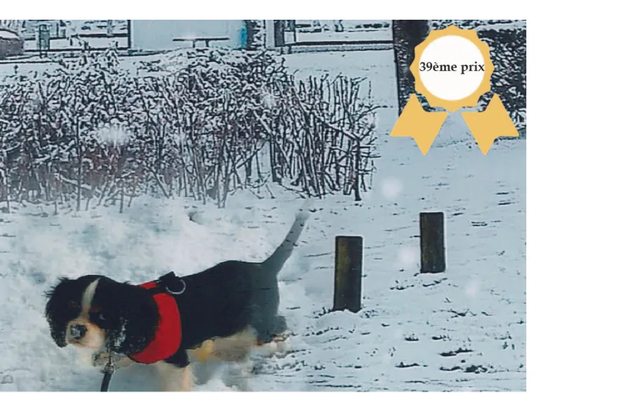 Concours photos
