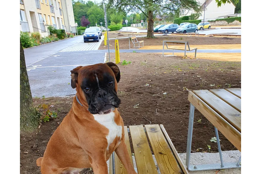 CATHY VEVAUD SAINT MAXIMIN