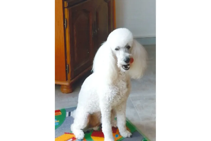 ISABELLE MOMEUX CHOISY