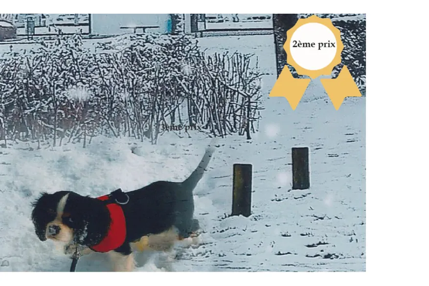 Concours photos
