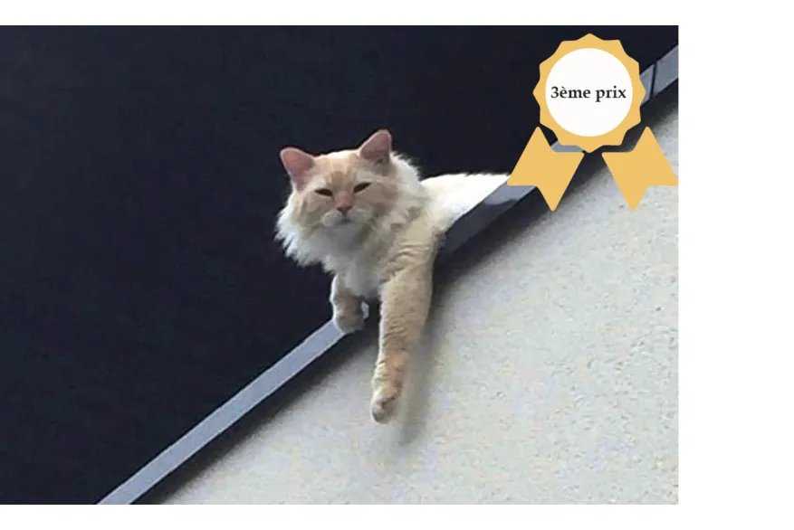 Concours photos