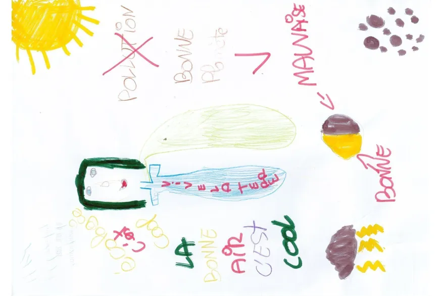 DESSIN LOUNA CHIRY OURSCAMP