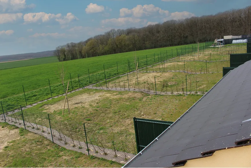 v17