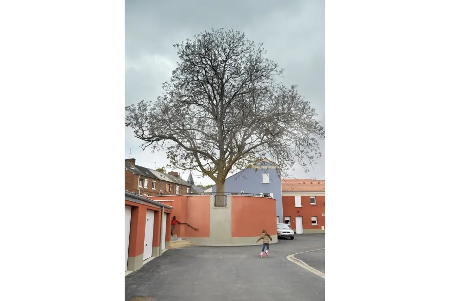 instants de sports 9