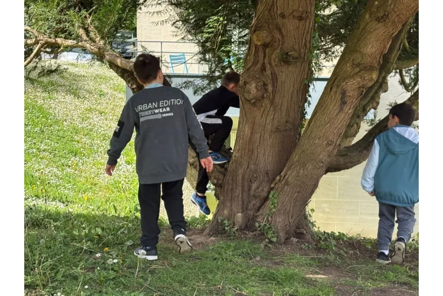 Saint-Maximin les champignolles 9