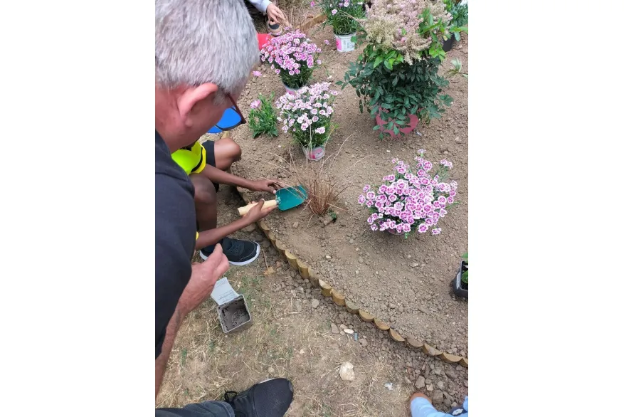 Rantigny rue Edouard Vaillant plantations 14