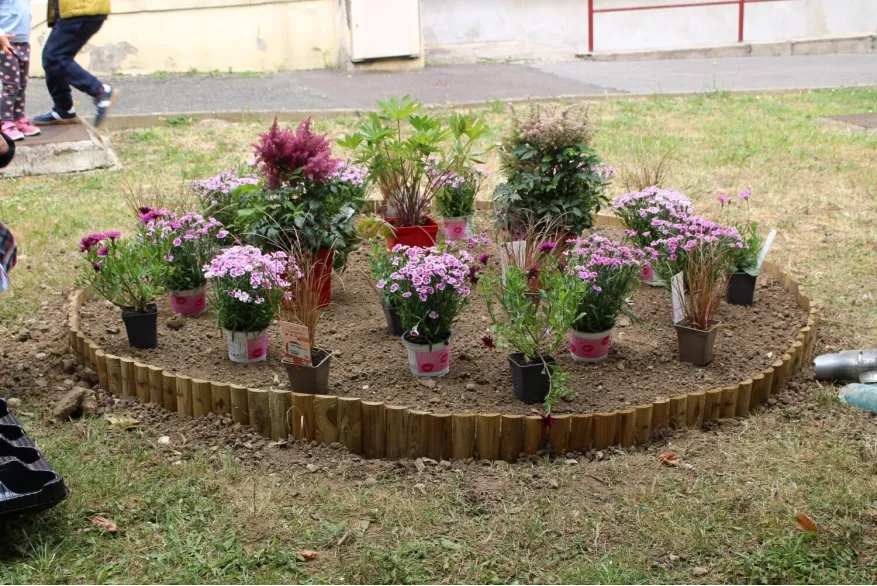 Rantigny rue Edouard Vaillant plantations 1