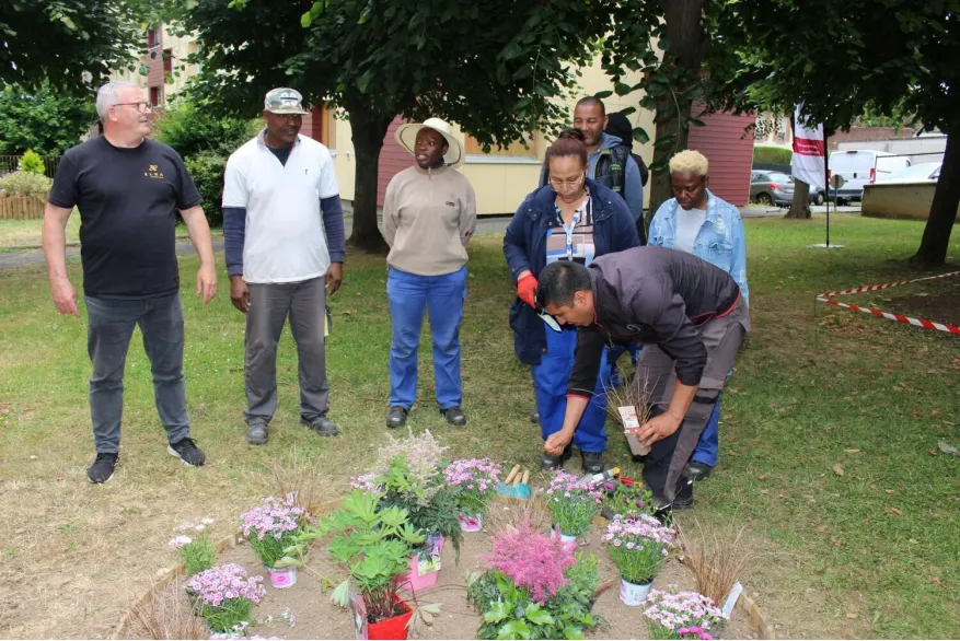 Rantigny rue Edouard Vaillant plantations 2