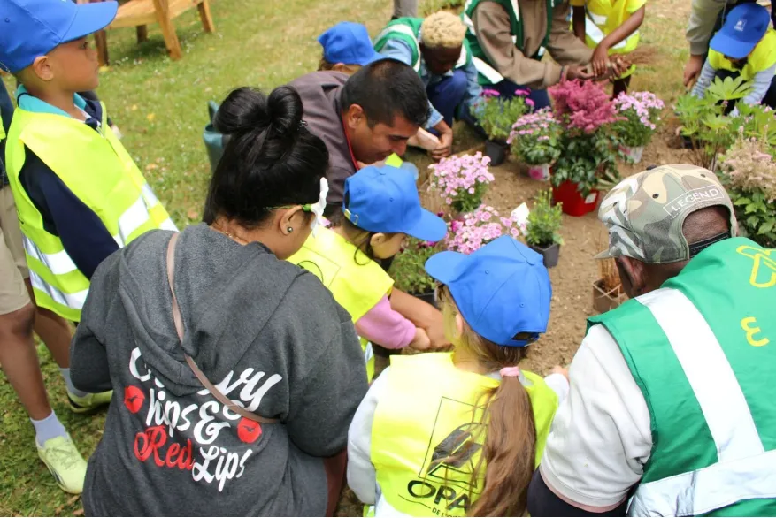 Rantigny rue Edouard Vaillant plantations 3