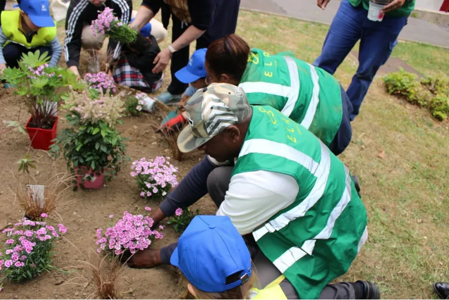 Rantigny rue Edouard Vaillant plantations 6