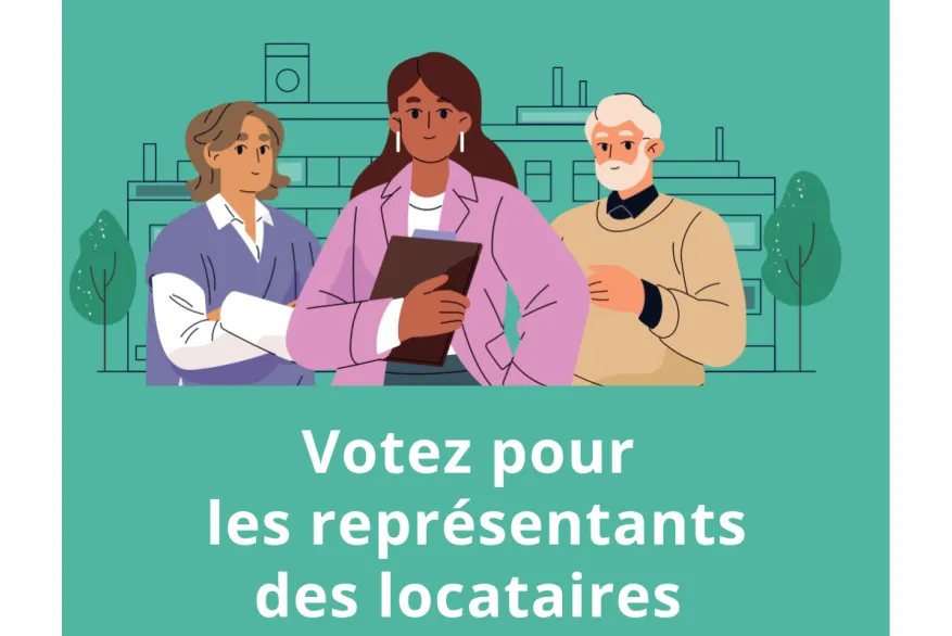 image election 3