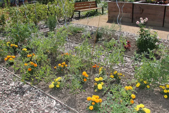 Les locataires intéressés par le projet sont invités à se faire connaître.