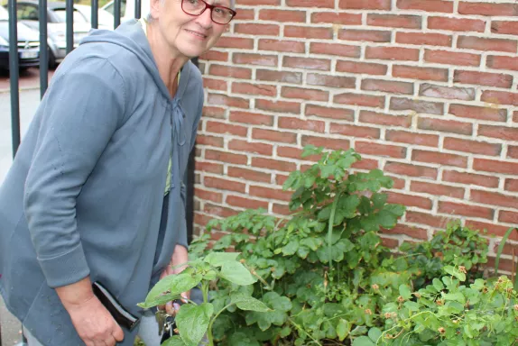 Josette Gosset plante, cultive et récole dans plusieurs quartiers beauvaisiens.