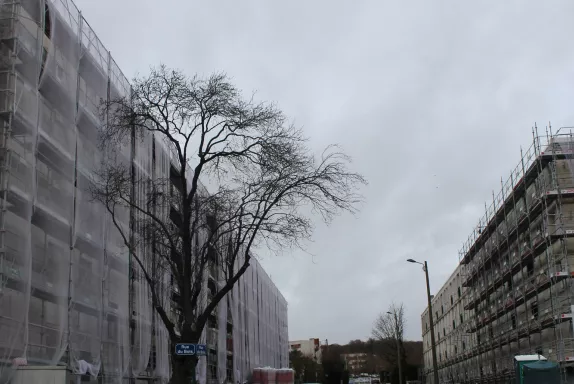 Les travaux devraient s'achever au printemps prochain.