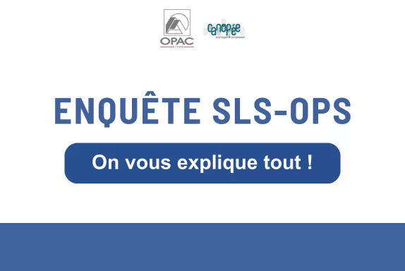 Vous avez reçu une ou deux enquêtes, selon si vous percevez ou non l'APL.