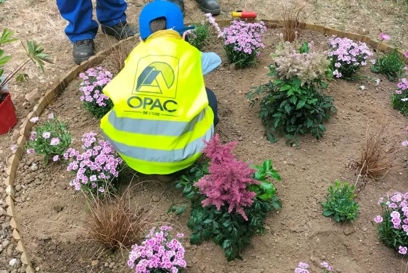 Rantigny rue Edouard Vaillant plantations