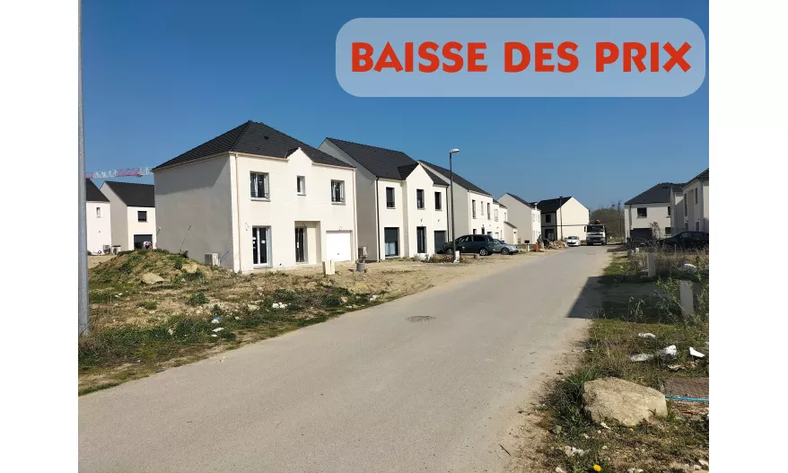 perspective Bernes