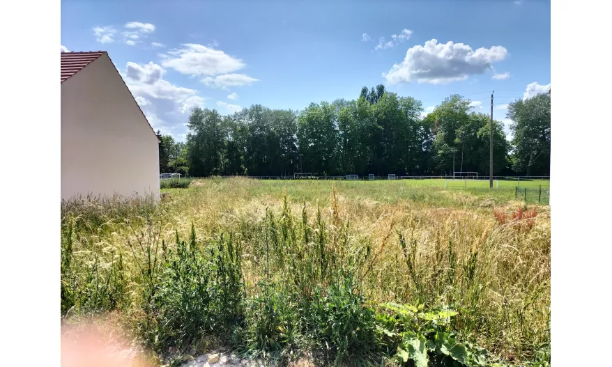 Lot 9