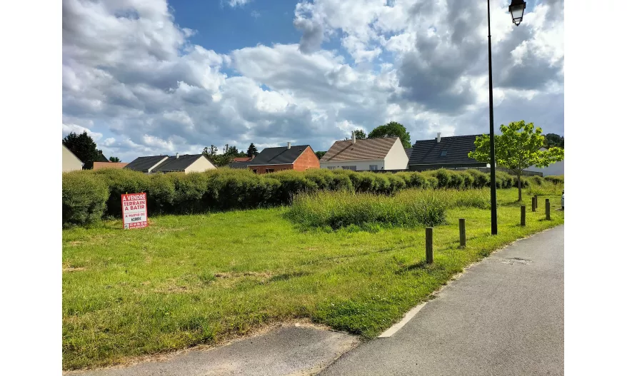 Lot 45