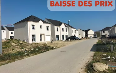 perspective Bernes